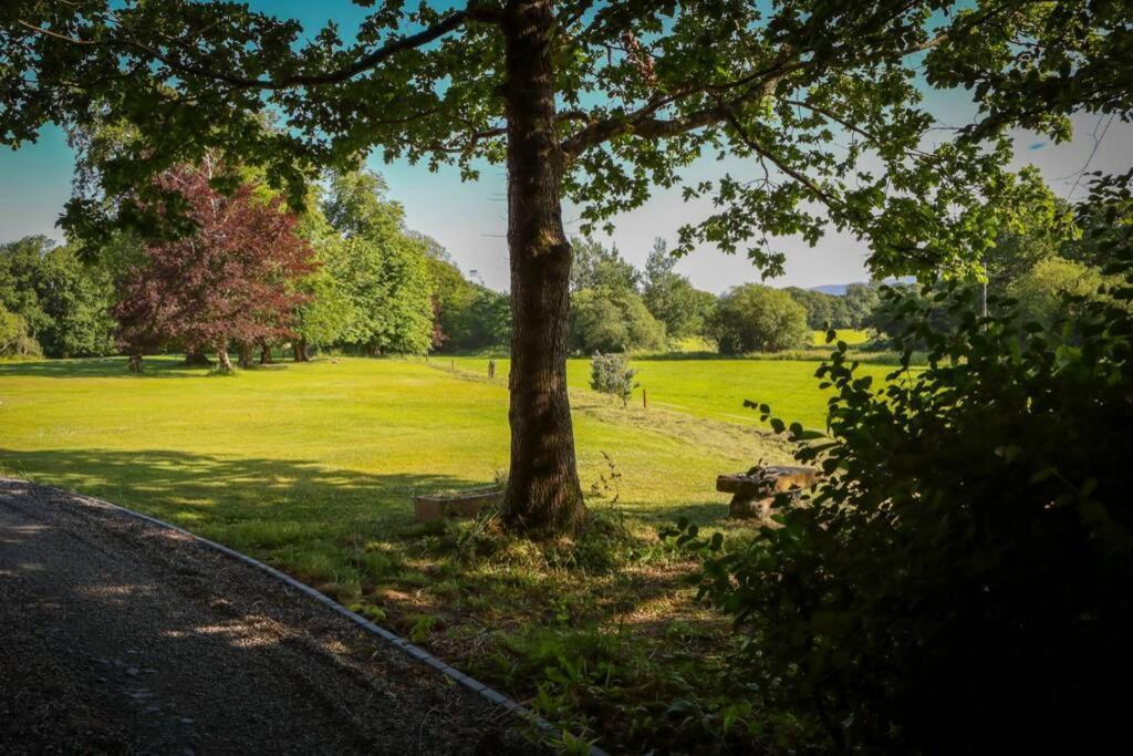 5* Self Catering * Nenagh